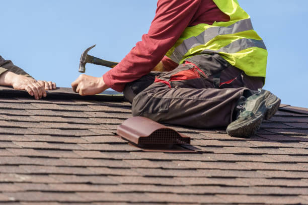 Best Roof Leak Repair  in Carthage, IL
