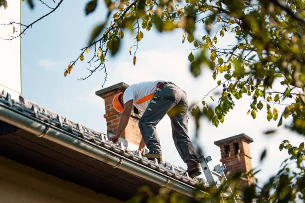 Quick and Trustworthy Emergency Roof Repair Services in Carthage, IL