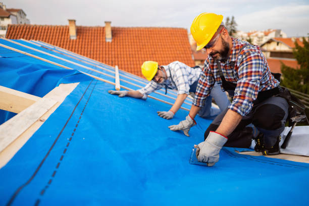 Best Emergency Roof Repair  in Carthage, IL