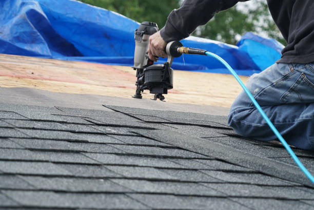 Best Metal Roofing Contractor  in Carthage, IL