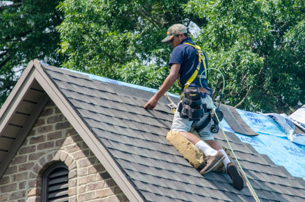 Best Local Roofing Companies  in Carthage, IL